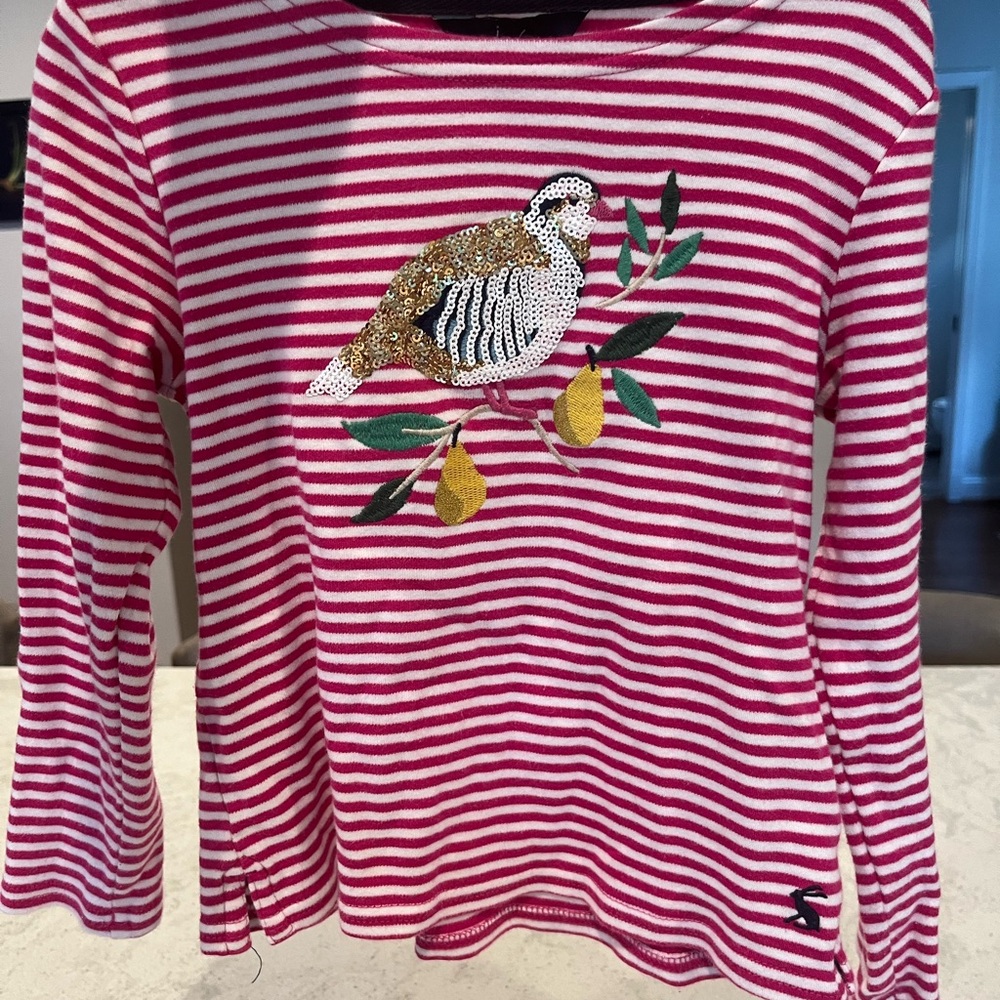 Joules Pink Striped Long Sleeve Tee with Bird Design